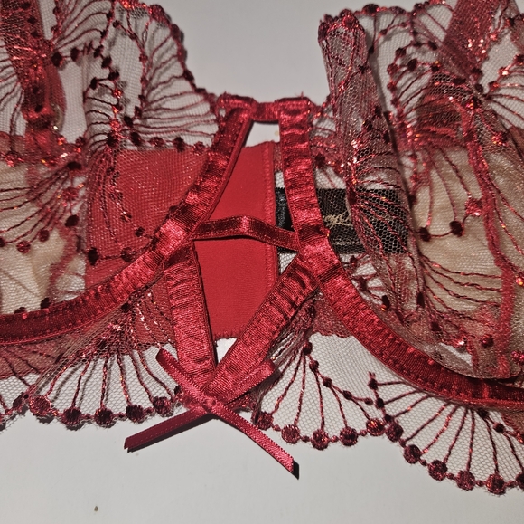 Honey Birdette Sarah Red bra 34DD new - Picture 3 of 4